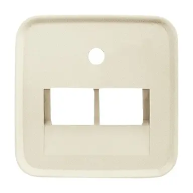 Busch-Jaeger 1803-02-212 centraalplaat RJ45 wandcontactdoos 2-voudig Standaard SI