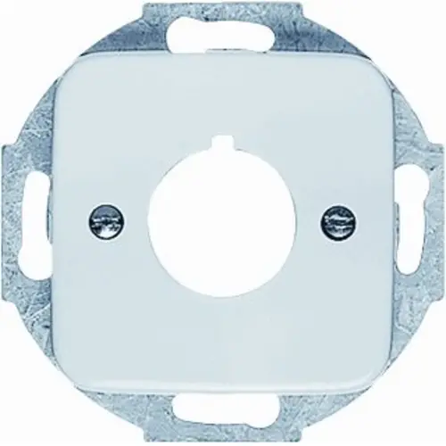 Busch-Jaeger 2533-214 inzpl 22mm rsi