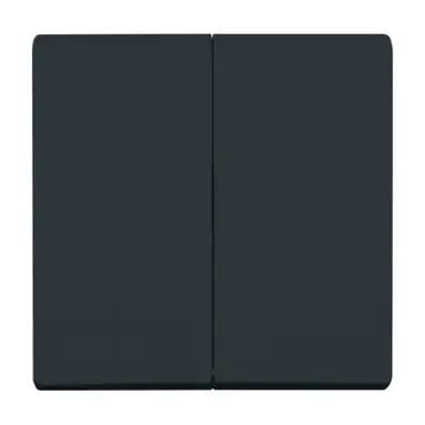 Busch-Jaeger 2105-35 schakelwip 2-voudig IP44 antraciet