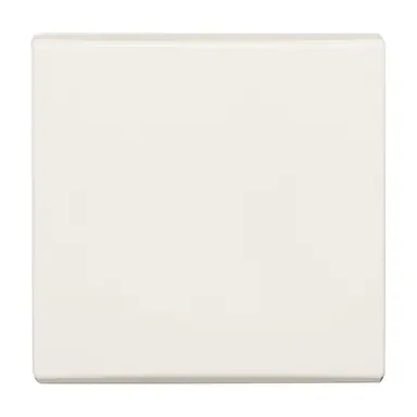 Busch-Jaeger 2106-32 schakelwip enkel IP44 creme