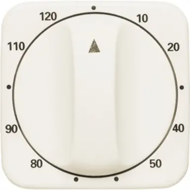 Busch-Jaeger 1771-212-103 draaiknop tijdschakelaar 120 min Standaard SI