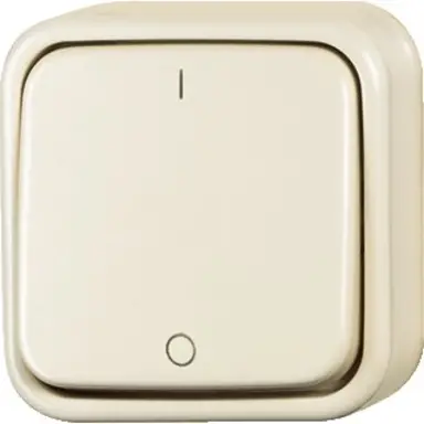 Busch-Jaeger 2601/2 AP/11-503 wipschakelaar 2-polig opbouw AP plus creme
