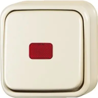 Busch-Jaeger 2601/6 SKAP/11-503 wisselschakelaar controlevenster opbouw AP plus creme