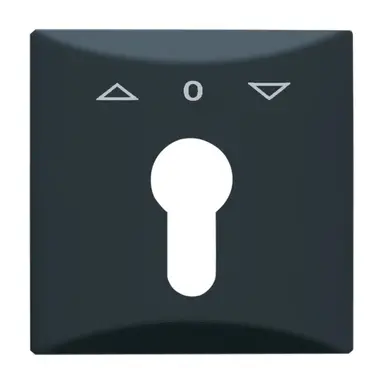 Busch-Jaeger 2155 PZ-35 jaloezie centraalplaat met pijl opdruk IP44 antraciet