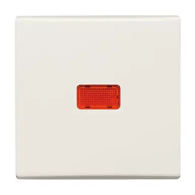 Busch-Jaeger 2107-32 schakelwip controlevenster