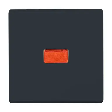 Busch-Jaeger 2107-35 schakelwip controlevenster