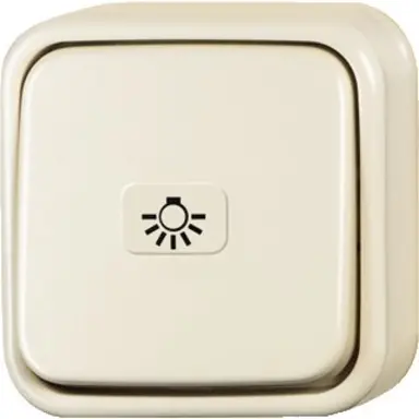 Busch-Jaeger 2601/6 APLI/11-503 wisselschakelaar met nalichtend symbool licht opbouw AP plus creme