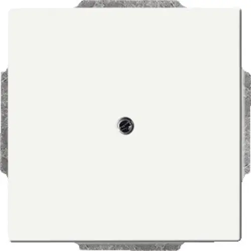 Busch-Jaeger 1742-884 blinddeksel incl. draagframe Future Linear studiowit mat