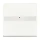 Busch-Jaeger 1764 NLI-884 schakelwip met tekstkader en controlelicht Future Linear studiowit mat