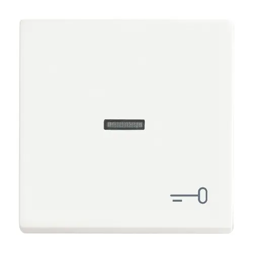 Busch-Jaeger 1789 TR-884 schakelwip met controlevenster en symbool sleutel Future Linear studiowit mat