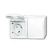 Busch-Jaeger 20/2 EBW-54 wandcontactdoos 2-voudig randaarde kindveilig met klapdeksels opbouw Ocean IP44 alpinwit