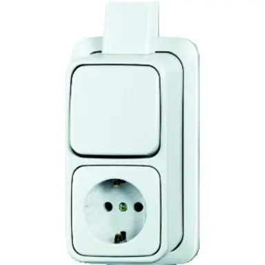 Busch-Jaeger 2601/6/2300 EAPJW combinatie wisselschakelaar/wandcontactdoos met randaarde K/P-25 opbouw AP plus wit
