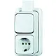 Busch-Jaeger 2601/6/2300 EAPJW combinatie wisselschakelaar/wandcontactdoos met randaarde K/P-25 opbouw AP plus wit