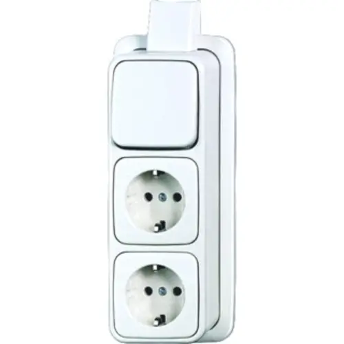 Busch-Jaeger 2601/6/2300/2EAPJW combinatie wisselschakelaar/2x wandcontactdoos RA K/P-25 opbouw AP plus wit