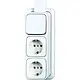 Busch-Jaeger 2601/6/2300/2EAPJW combinatie wisselschakelaar/2x wandcontactdoos RA K/P-25 opbouw AP plus wit
