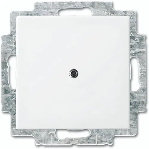 Busch-Jaeger 2538-914 blinddeksel incl. draagframe Balance SI wit glans