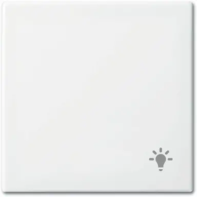 Busch-Jaeger 2520 LI-914 schakelwip symbool licht Balance SI wit glans