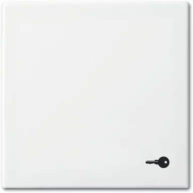 Busch-Jaeger 2520 TR-914 schakelwip symbool sleutel Balance SI wit glans