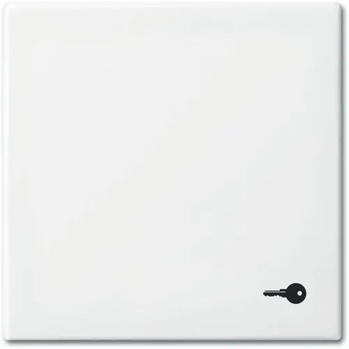 Busch-Jaeger 2520 TR-914 schakelwip symbool sleutel Balance SI wit glans