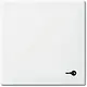 Busch-Jaeger 2520 TR-914 schakelwip symbool sleutel Balance SI wit glans