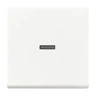 Busch-Jaeger 1789 N-884 schakelwip met controlevenster klein