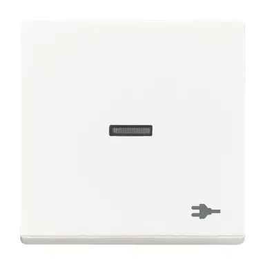 Busch-Jaeger 1789 ST-884 schakelwip met controlevenster en symbool stekker Future Linear studiowit mat