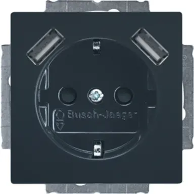 Busch-Jaeger 20 EUCB2USB-81 wandcontactdoos randaarde kindveilig met 2xUSB Future Linear antraciet glans