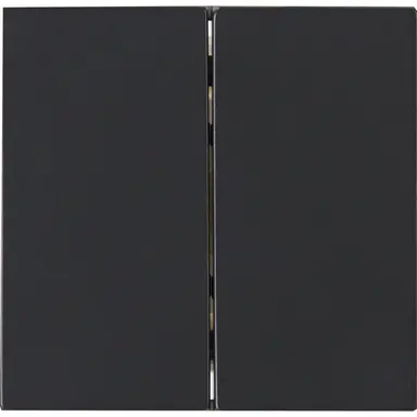 Kopp 490315006 schakelwip 2-voudig HK07 Athenis antraciet