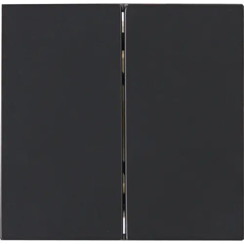 Kopp 490315006 schakelwip 2-voudig HK07 Athenis antraciet