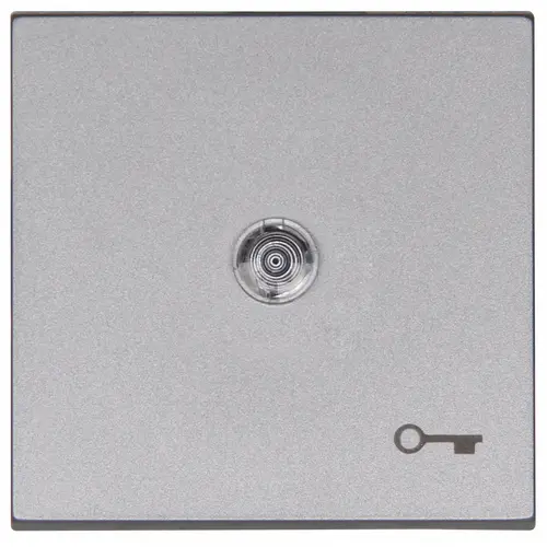Kopp 490463002 schakelwip controlevenster met sleutel symbool HK07 Athenis staal grijs