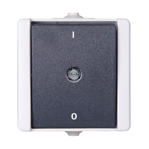 Kopp 540256000 opbouw schakelaar 2-polig met controlelamp IP44 proAQA grijs
