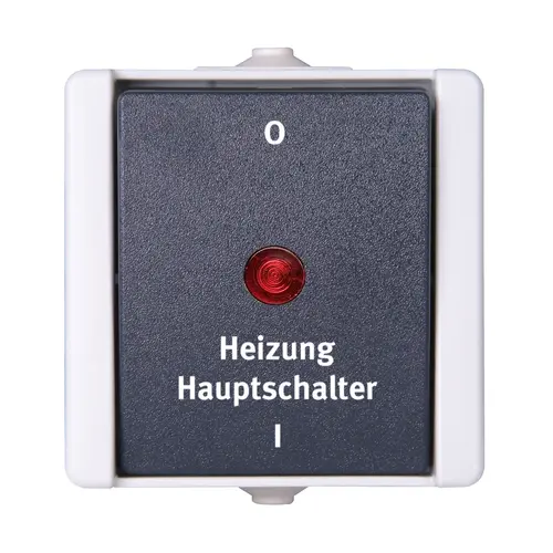 Kopp 541356004 opbouw hoofdschakelaar voor verwarming 10A IP44 ProAQA grijs