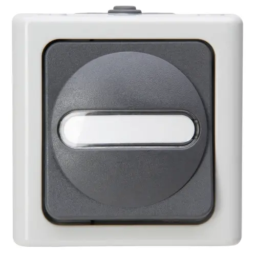 Kopp 560656006 wisselschakelaar IP44 grijs Blue Electric