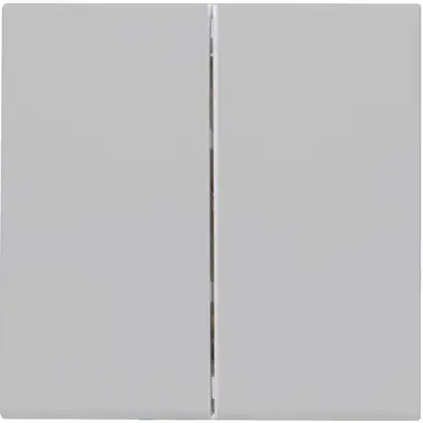 Kopp 490334009 schakelwip 2-voudig HK07 Athenis grijs mat