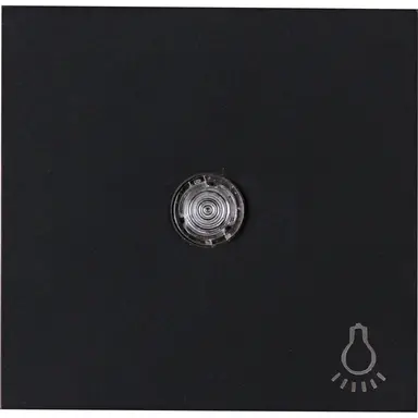 Kopp 490447002 schakelwip controlevenster met licht symbool HK07 Athenis zwart mat