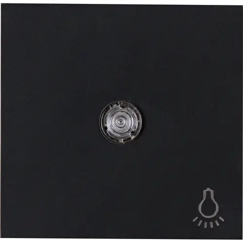 Kopp 490447002 schakelwip controlevenster met licht symbool HK07 Athenis zwart mat