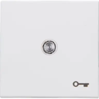 Kopp 490464003 schakelwip controlevenster met sleutel symbool HK07 Athenis arctic wit mat