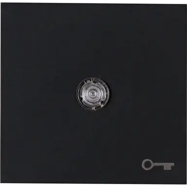Kopp 490467006 schakelwip controlevenster met sleutel symbool HK07 Athenis zwart mat