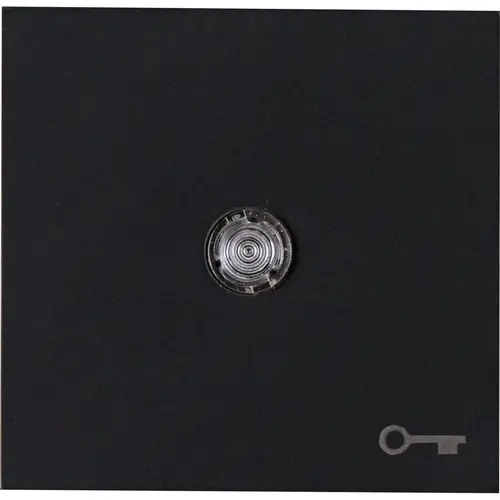 Kopp 490467006 schakelwip controlevenster met sleutel symbool HK07 Athenis zwart mat