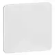 PEHA H 80.677.02 blinddeksel incl. draagframe Standard levend wit glans