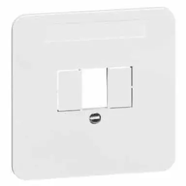 PEHA 80.610.02 TAE centraalplaat 1-voudig TAE Standard levend wit