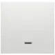 PEHA 11.640.02 GLK schakelwip controlevenster 600 serie Badora levend wit