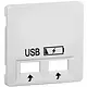 PEHA 80.610.02 USB SPV centraalplaat USB 2-voudig Standard levend wit