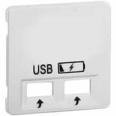 PEHA 20.610.022 USB SPV centraalplaat USB 2-voudig Nova levend wit