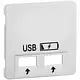 PEHA 20.610.022 USB SPV centraalplaat USB 2-voudig Nova levend wit