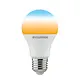 Sylvania 0028902 WhiteTone tol whitetone gls 806lm tw