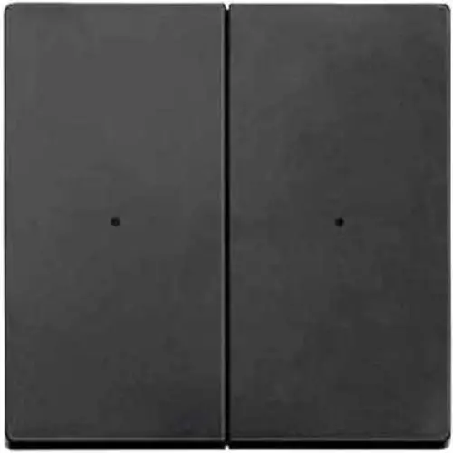 Schneider MTN625214 Tweedelige wip Pulsdrukker Antraciet