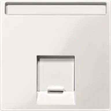 Schneider MTN469819 Centraalplaat