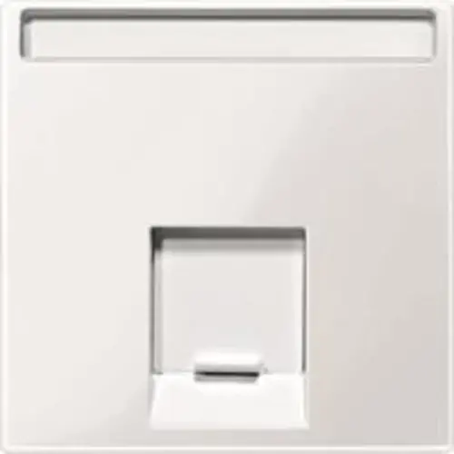 Schneider MTN469819 Centraalplaat