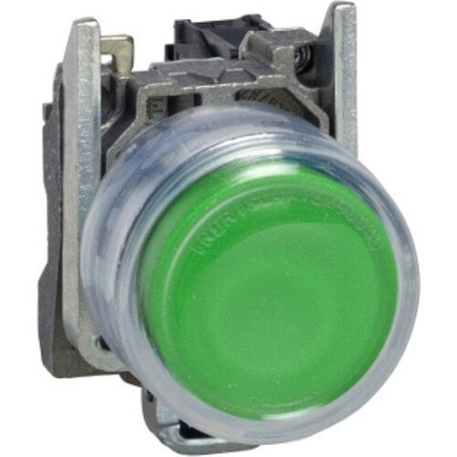 Schneider XB4BP31 drukknop terugvering ongemarkeerd 22mm groen 1xNO contact
